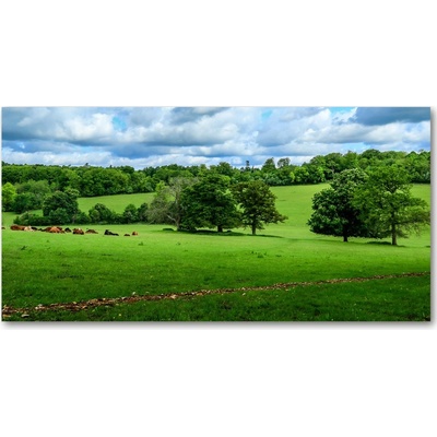 Foto obraz sklo tvrzené zelené pahorky 100x50 cm
