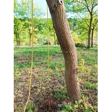 Fall Protection 5m
