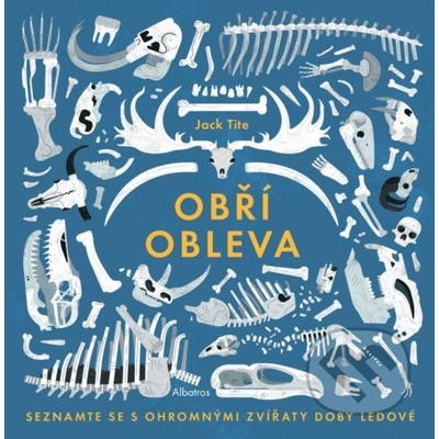 Obří obleva