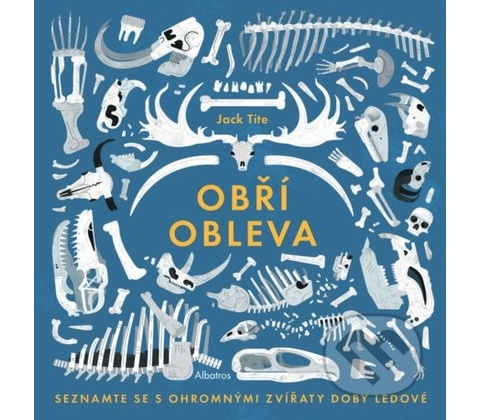 Obří obleva