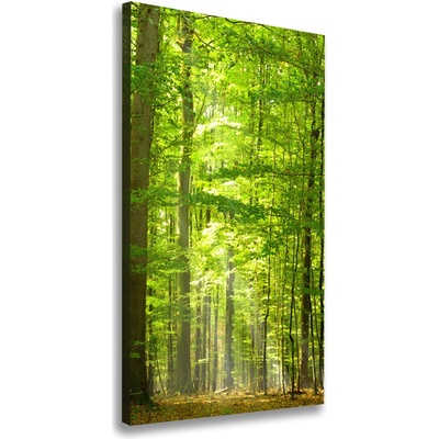 Vertikálny foto obraz na plátne do obývačky Bukový les 50x100 cm