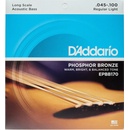 Daddario EPBB170