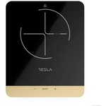 TESLA IC401B Преносим котлон