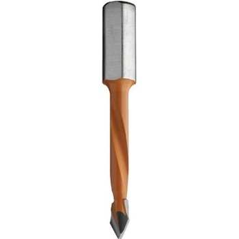IGM C36808012