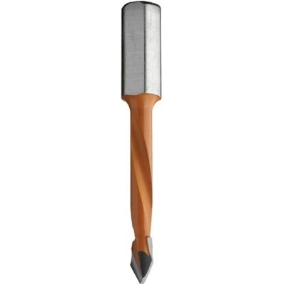 IGM C36808012