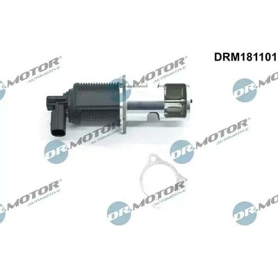 Dr.Motor Automotive AGR ventil DMA DRM181101