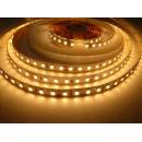 T-LED 079258