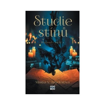 Studie stínů