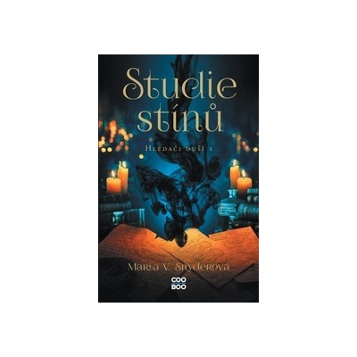 Studie stínů