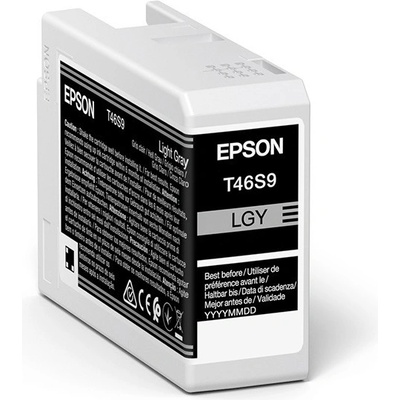 Epson original ink C13T46S900, light gray (C13T46S900)