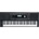 Kurzweil KP100 SET