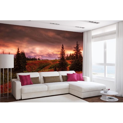 DIMEX ART Самозалепваща се флизелинова фототапета аляска aurora borealis 375 x 250 см