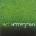 UB 40: HOMEGROWN CD