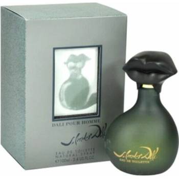 Image 1 of Salvador Dali Dali pour Homme EDT 100 ml
