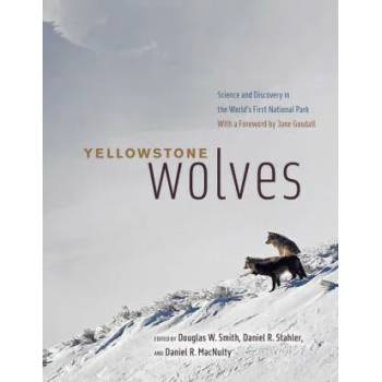 Image 1 of Yellowstone Wolves | Daniel Stahler, Daniel R. Macnulty