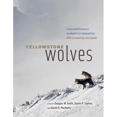 Yellowstone Wolves | Daniel Stahler, Daniel R. Macnulty