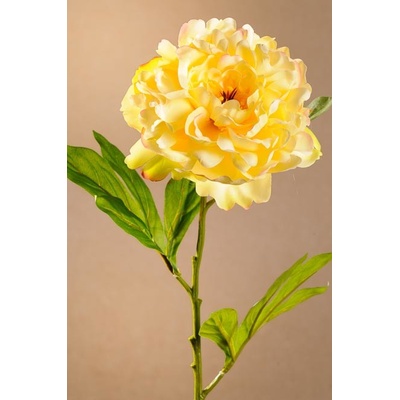 Paramit BLOOMING PEONY Aranžovací květina žlutá 77 cm