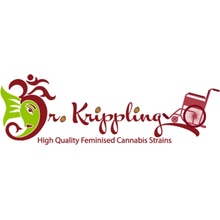 Dr. Krippling Seeds Puff Puff Pass Out semena neobsahují THC 1 ks