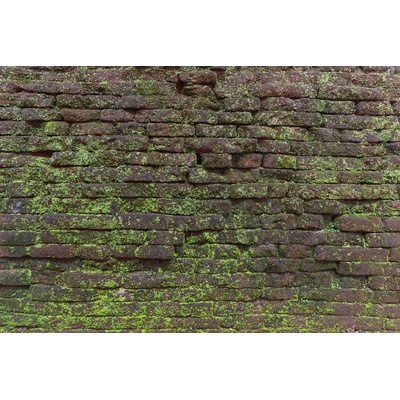 DIMEX ART Флизелинов фототапет винтидж текстура с мъх 375 x 250 см