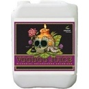 Advanced Nutrients Voodoo Juice 5l