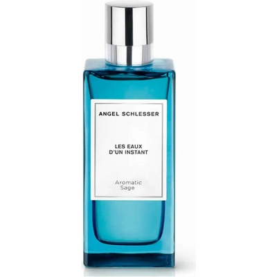 Angel Schlesser Les Eaux D'Un Instant Aromatic Sage toaletná voda pánska 100 ml