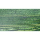 Remmers HK Lasur 5 l jedľová zelená