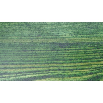 Remmers HK Lasur 5 l jedľová zelená