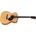 Eastman E2OM