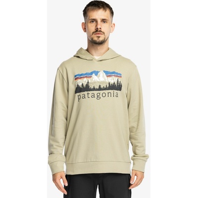Patagonia Fitz Roy Foothills Daily Hoody weathered stone