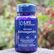 Life Extension Optimised Ashwagandha Extract 60 rostlinných kapsúl