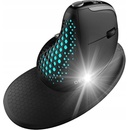 DeLUX M618XSD BT+2,4G RGB