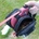 Alcott Retractable leash luggage - дисаги за автоматичен повод размер L ACLLG