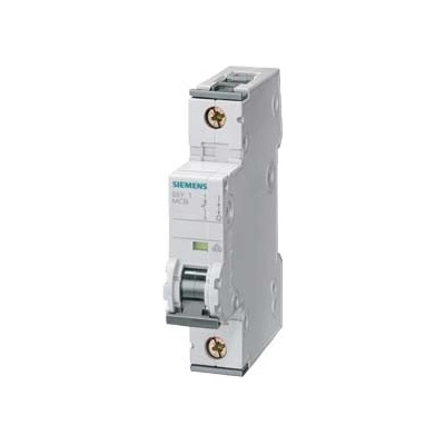 Siemens 6D/1 5SY4106-8 10kA