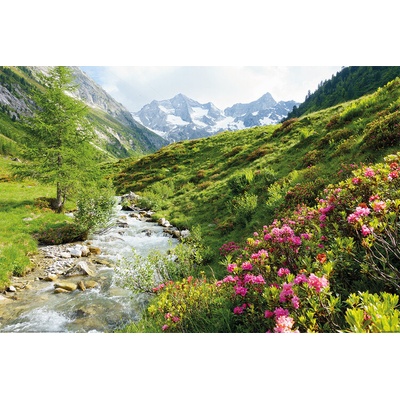 Plagát, Obraz - Alps - Nature and Mountains, 120 × 80 cm