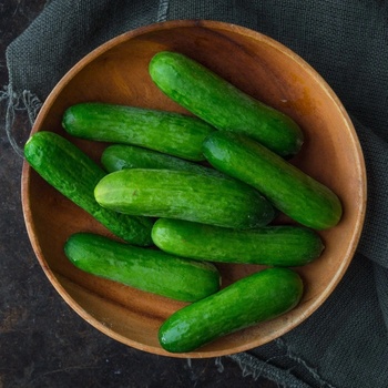 Okurka salátová Baby F1 - Cucumis sativus - semena okurky - 10 ks