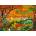 Pieces & Peace - Puzzle Conure Dorée - 1 000 piese