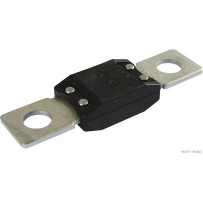 HERTH+BUSS ELPARTS Pojistka 50295842