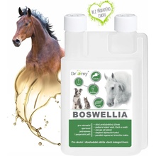 Dromy BOSWELLIA Serrata liq. 1000 ml