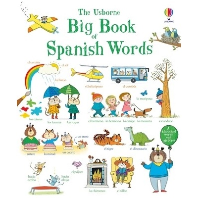 Big Book of Spanish Words (MacKinnon Mairi)(Board Books)