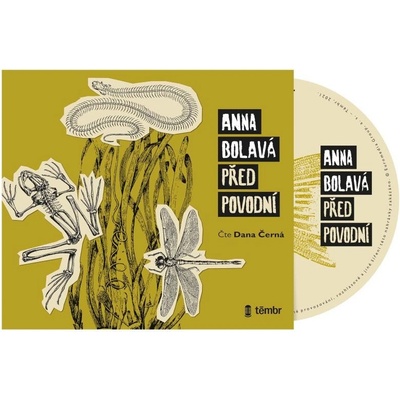 Před povodní - Anna Bolavá