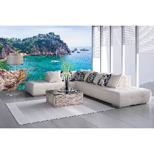 DIMEX ART Самозалепваща се флизелинова фототапета коста брава 375 x 250 см