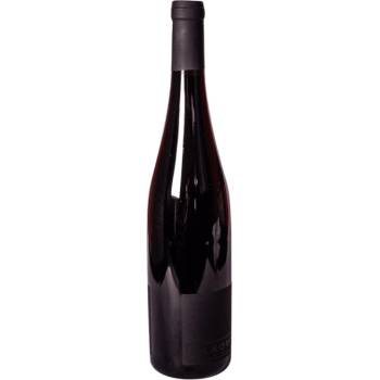 Vinařství Bílkovi Dornfelder MZV suché červené 2021 12,5% 0,75 l (holá láhev)