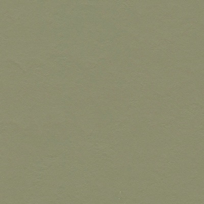 Forbo Marmoleum Solid Walton Rosemary Green 3355 2 bm