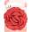 Invisibobble Clipstar Fleur de Coral
