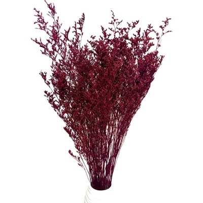 Limonium/Limonka stabilizovaná bordó svazek 100g