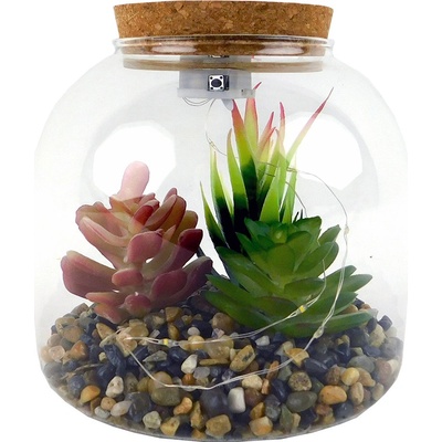 PROHOME - Sukulent ve skle 15x15x15cm LED