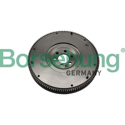 Zotrvačník BORSEHUNG B19211