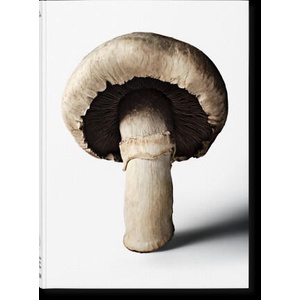 The Gourmand's Mushroom. A Collection of Stories & Recipes (2025)