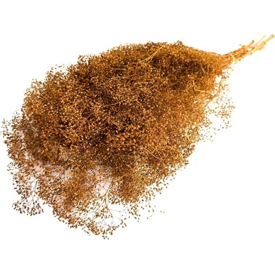 Stabilizovaná mini Gypsophila svazek/kytice terracotta 90g-95g
