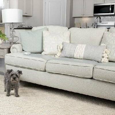 PetSafe ScatMat Indoor Training Mat-L